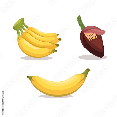Banana fruit in piece with banana heart collection set illustration vector