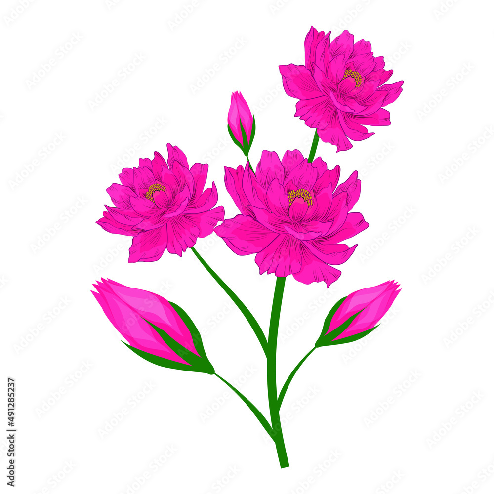 Obraz premium Flower and leafs decorative in graphics vector floral illustration Premium Vector