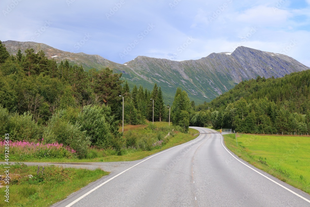 Road in Sunnmore, Norway
