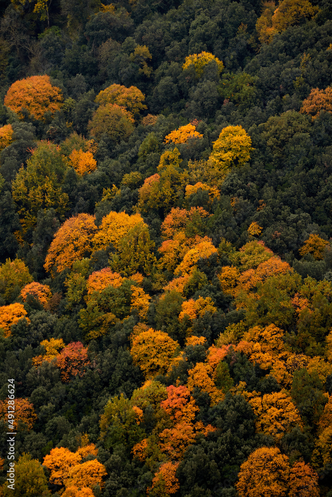 Autumn colors
