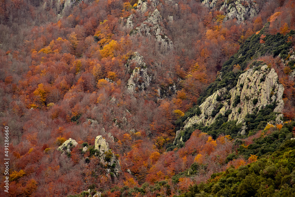 Autumn in the mountains