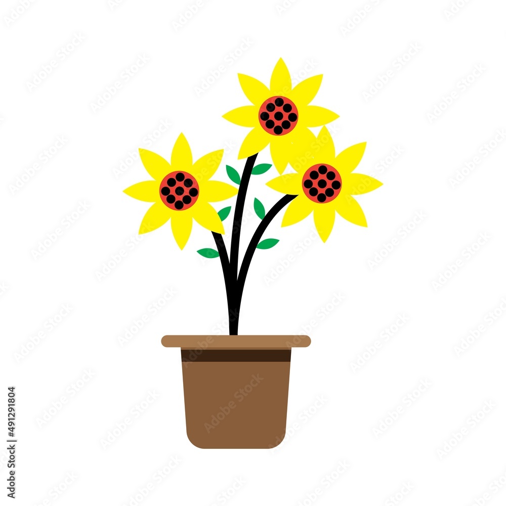sunflower plant vector sunflower plant vector