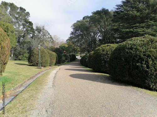 Road in te road 