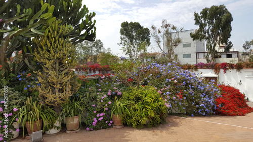 Beautiful garden in Lima, Peru