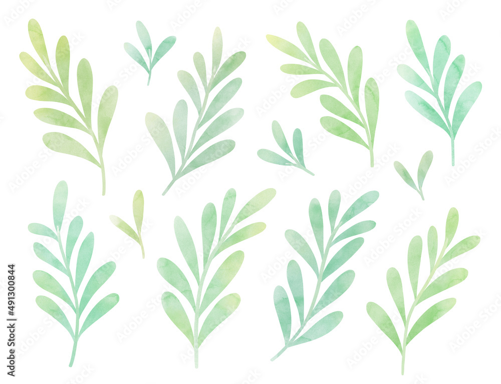 Set of digital floral elements. Hand drawn leaves isolated. Botanical illustration for decoration, print design. Set of digital floral elements. Hand drawn leaves isolated. Botanical illustration for decoration, print design.