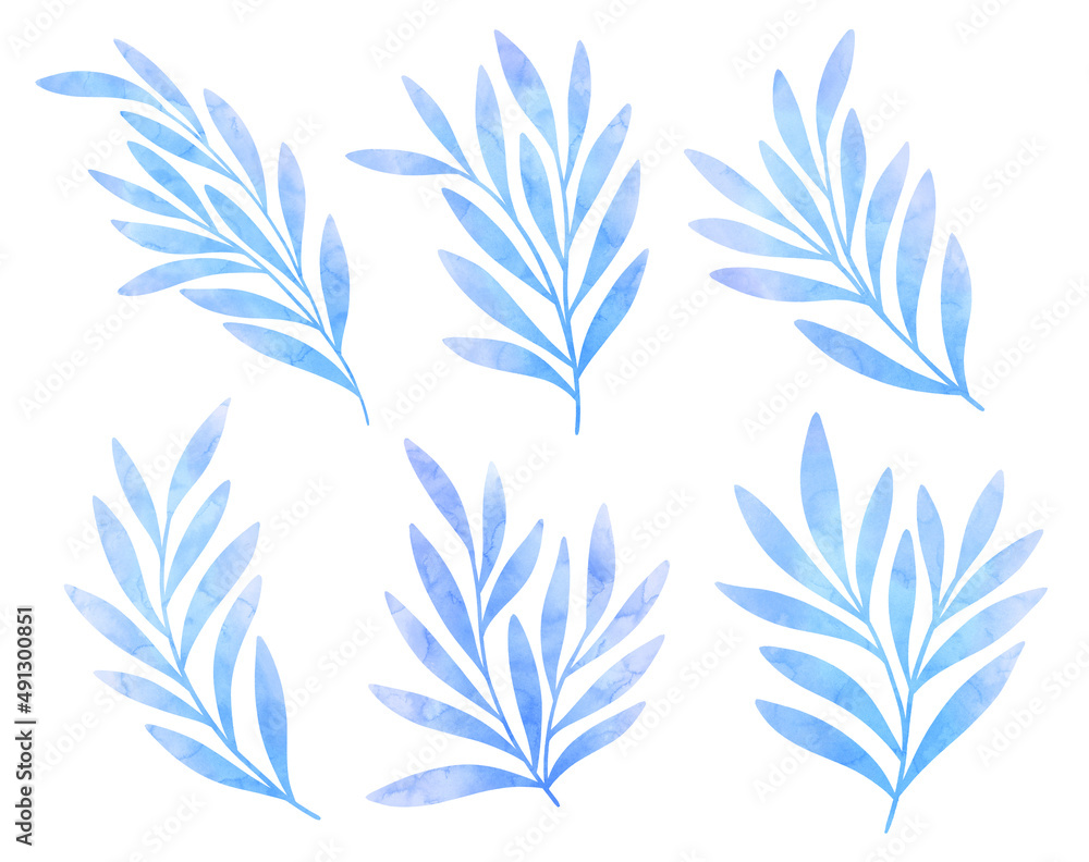 Set of digital floral elements. Hand drawn leaves isolated. Botanical illustration for decoration, print design.