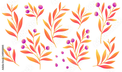 Set of digital floral elements. Hand drawn leaves isolated. Botanical illustration for decoration, print design.
