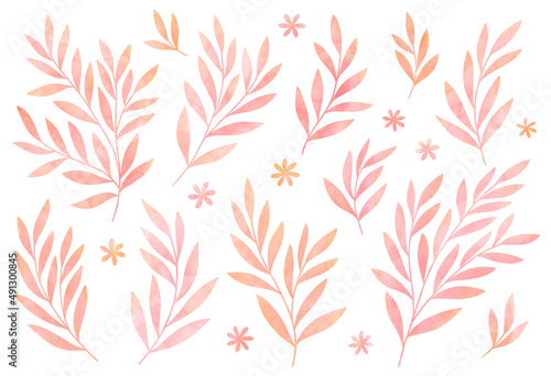 Digital botanical elements. Set of isolated hand drawn leaves and plants. Illustration ornaments for invitation, wallpaper, print design.