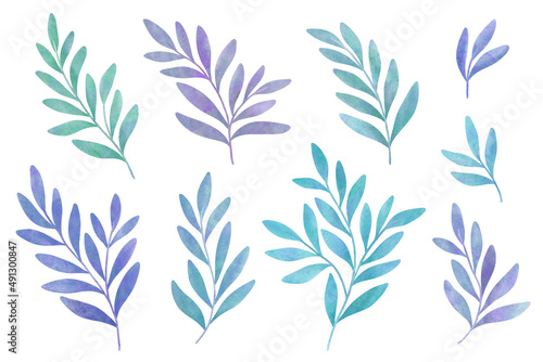 Set of digital floral elements. Hand drawn leaves isolated. Botanical illustration for decoration, print design.