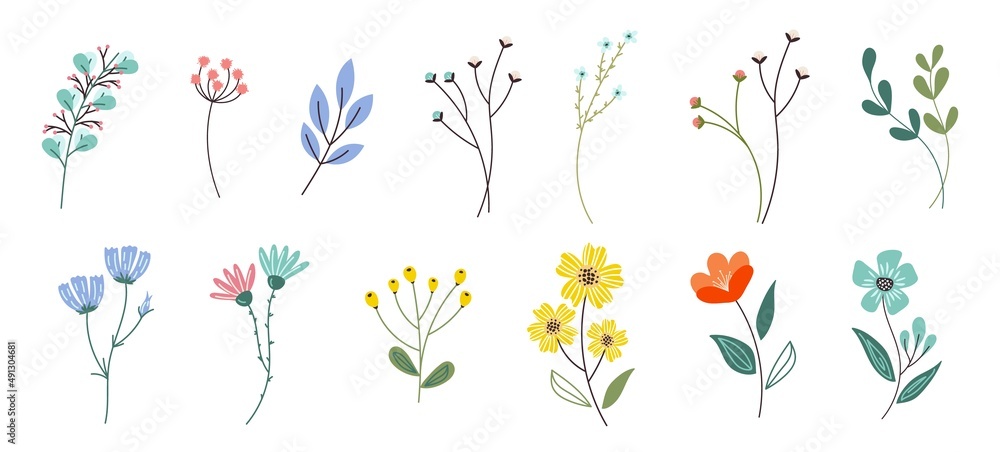 Collection of colorful floral elements in flat color. Set of spring and summer wild flowers, plants, branches, leaves and herb for decor, website, graphic and shop.