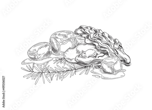 Seafood dish serving with oyster, ice cubes and rosemary fresh herb - sketch vector illustration isolated on white.