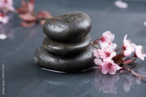 hot stones and cherry blossoms  concept of health and wellness on wet ground and reflections on water