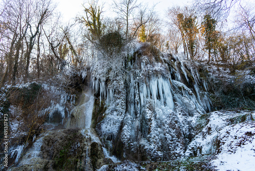 Wallpaper Mural Winter in the middle of forest Torontodigital.ca