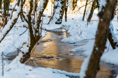 Wallpaper Mural Winter in the middle of forest Torontodigital.ca