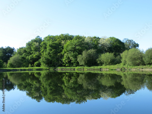 Fototapeta Naklejka Na Ścianę i Meble -  Bosquet de chêne au feuillage vert se reflétant dans un lac en été