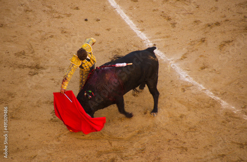 Matador in a bullfight