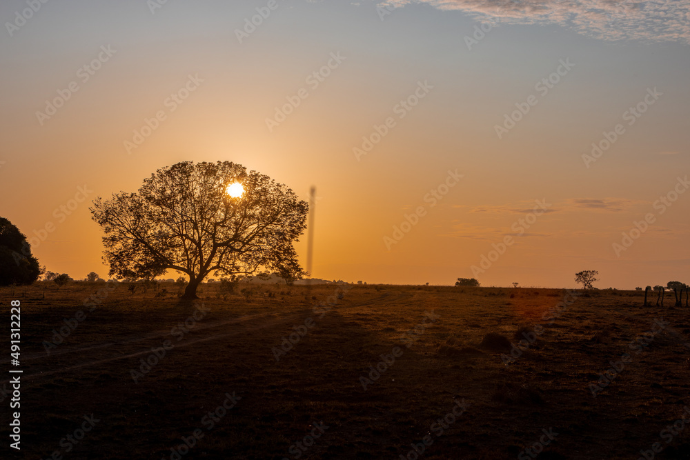 sunset in the plains sunset in the plains