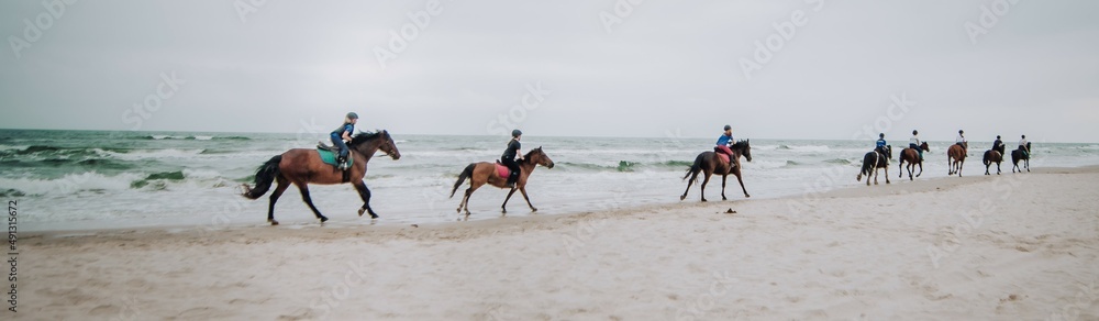 Konie galopujące nad morzem po plaży. Zespół , grupa jeźdźców galopuje wspólnie nad morzem po plaży - obrazy, fototapety, plakaty 