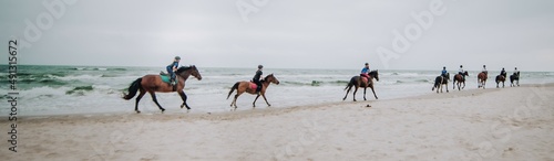 Konie galopujące nad morzem po plaży. Zespół , grupa jeźdźców galopuje wspólnie nad morzem po plaży