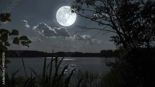 Full moon night nature landscape with forest lake