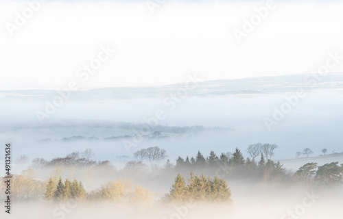 Misty rural Northumberland landscape in winter