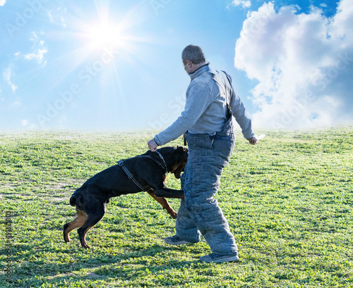training of puppy rottweiler © cynoclub