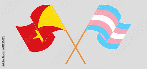 Crossed and waving flags of Tigray and Transgender Pride