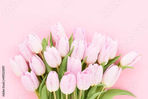 Fototapeta Naklejka Na Ścianę i Meble -  Bunch of pink tulips on a pink background. Mother's day, Valentines Day, Birthday concept. Greeting card