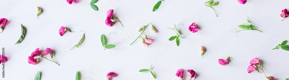Banner Flowers composition. Pattern made of pink flowers and leaves on white background. Spring, easter, summer concept. Flat lay, top view, copy space.