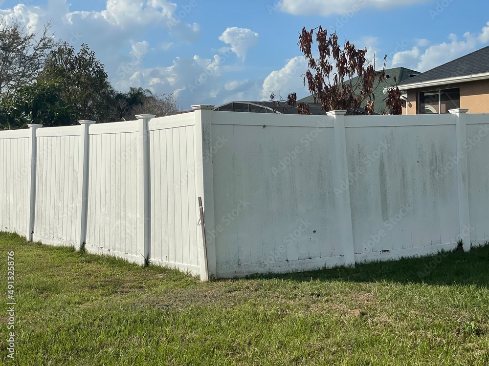Obraz premium fence