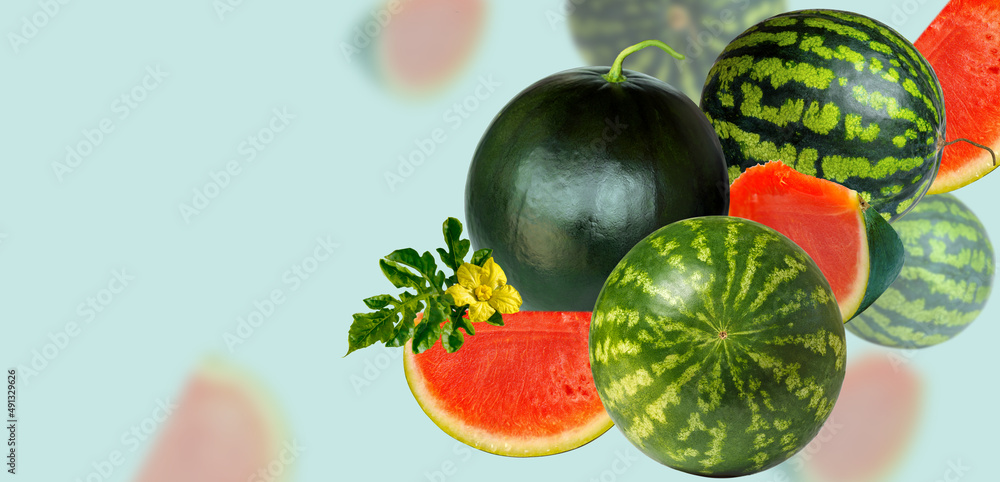 Accidentally falling watermelons. Watermelons on a light blue background Accidentally falling watermelons. Watermelons on a light blue background
