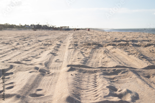 Retrato da areia da praia destacada pelas marcas de pneu dos boogies locais . Em Touros/RN, Brasil. photo