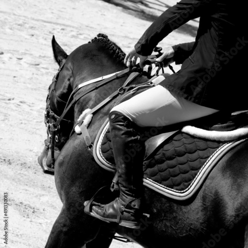 El arte de montar a caballo photo