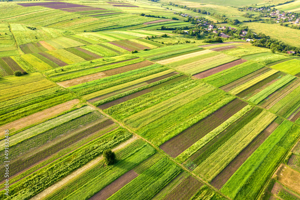 Aerial view of green agricultural fields in spring with fresh vegetation after seeding season on a warm sunny day. Aerial view of green agricultural fields in spring with fresh vegetation after seeding season on a warm sunny day.
