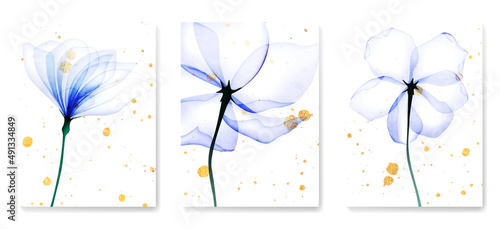 Floral art background with transparent blue flowers and golden elements. Vector botanical x-ray style poster set for decoration, interior design, invitations, packaging