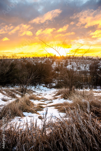 landscape with winter in the forest . Snow covered trees . Morning in the winter forest 