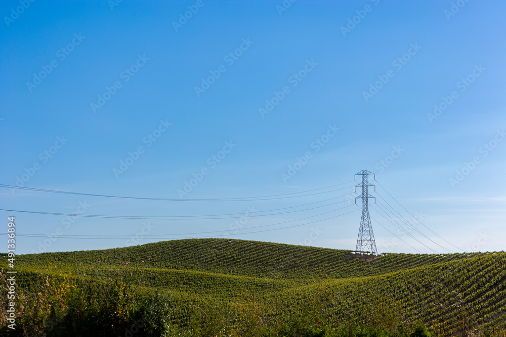 Vineyard with electricity pylon in the background, Napa Valley, California
