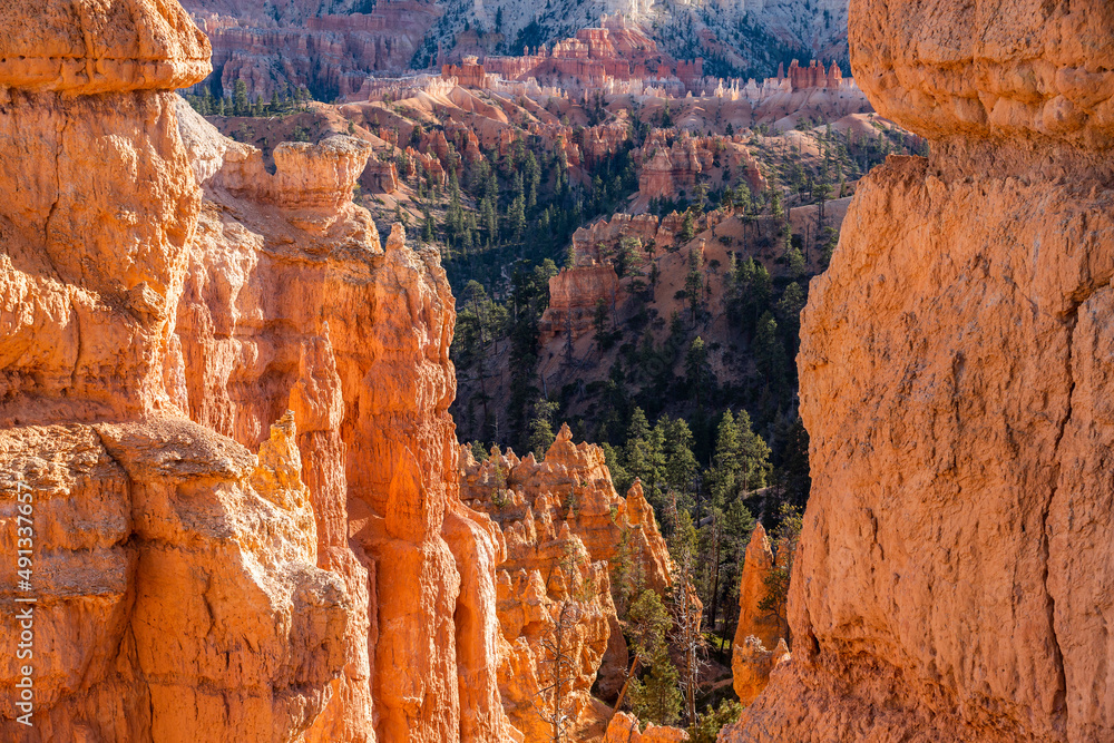 United States, Utah, Bryce Canyon National Park, Hoodoo rock formations in canyon United States, Utah, Bryce Canyon National Park, Hoodoo rock formations in canyon