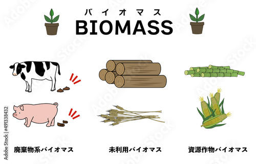 ３種類のバイオマスを分かりやすくイメージしたイラストセット