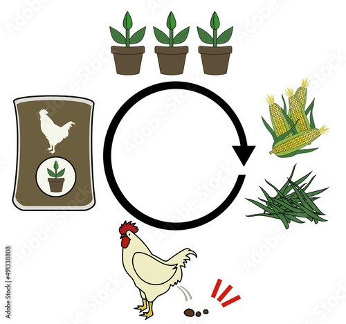 ラフなタッチの鶏糞堆肥から植物栽培、飼料の流れをイメージしたイラストセット（文字スペースあり）
