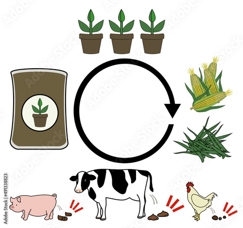 ラフなタッチの牛糞・豚糞・鶏糞堆肥から植物栽培、飼料の流れをイメージしたイラストセット