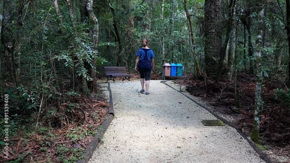 Rear view of a middle age woman walking alone on a path in a park throwing recyclable waste. Rear view of a middle age woman walking alone on a path in a park throwing recyclable waste.