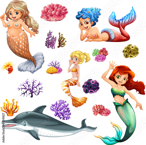 Different types of sea animals