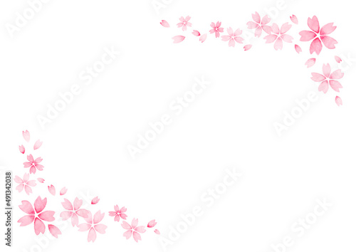 桜の花びらのフレーム　水彩　手書き　コピースペース　テンプレート　白背景　水彩絵具　シンプル © ぽこたぽこ