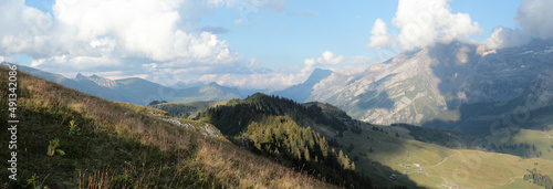 Alpine Landscape In Summer