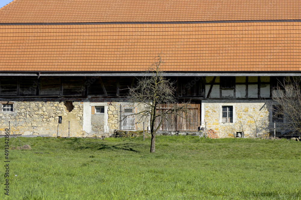 Farm House And Tree Farm House And Tree