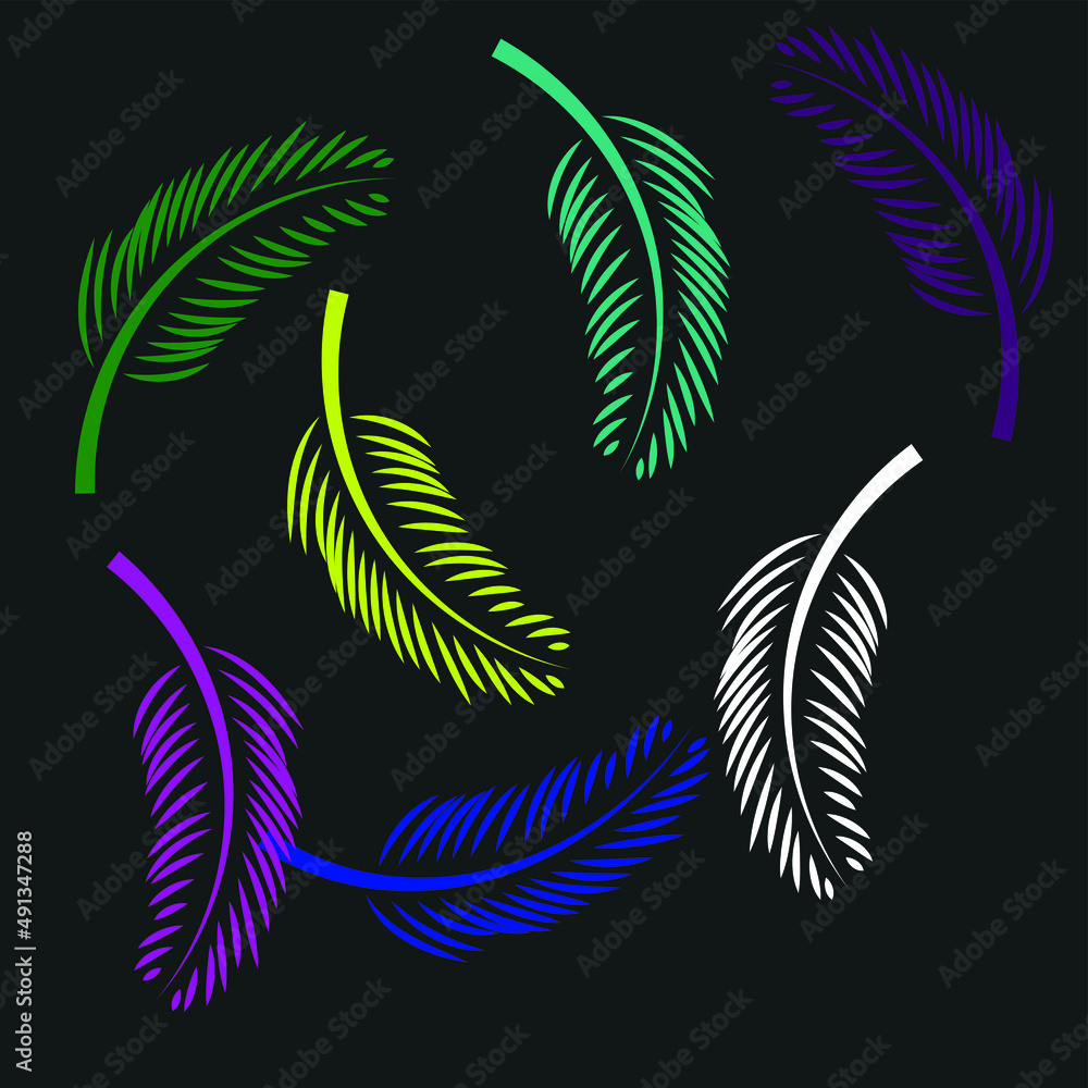 Obraz premium Coconut leaf