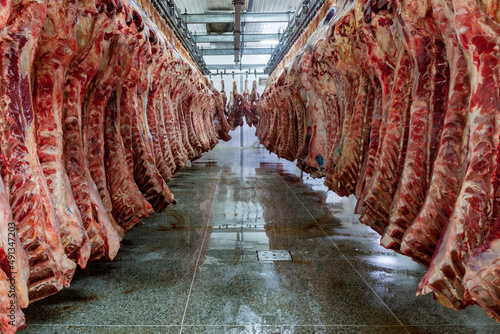 Industrial slaughterhouse house in Venezuela photo