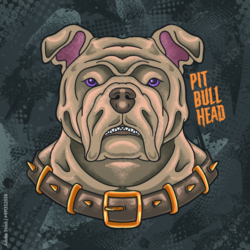 strong pitbull head angry with collar