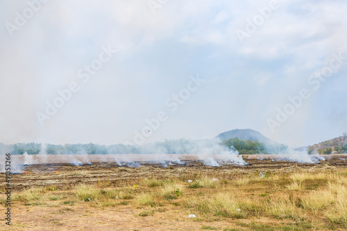 Burning straw in rice plantation in thailand.